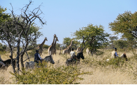 Ride Zimbabwe Matopos Safari 